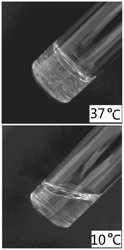 A kind of thermosensitive copolymer and its synthetic method and hydrogel system