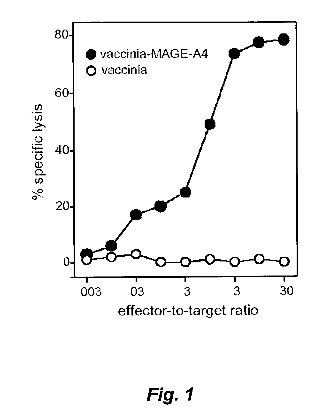 MAGE-A4 antigenic peptides and uses thereof