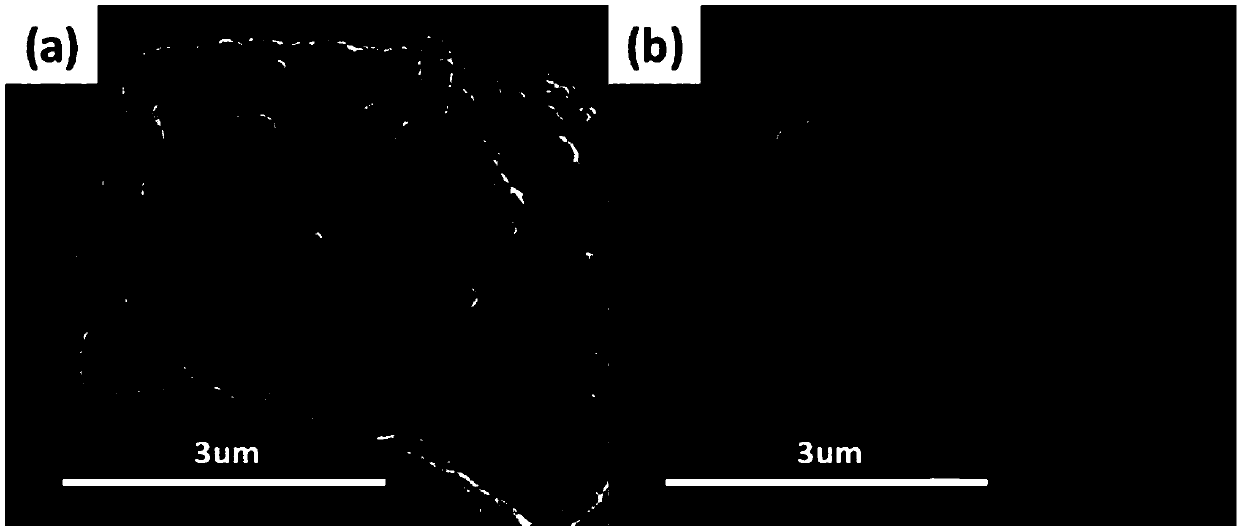 A carbon microsphere as a transition layer titanium carbide in-situ growth cnts three-dimensional composite material and its preparation method