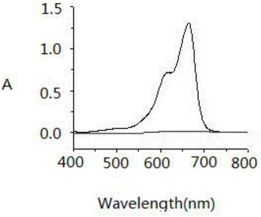 Preparation method and application of grain stillage-loaded heterogeneous catalyst