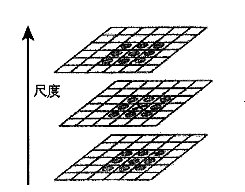 Method for filtering internet hemp image