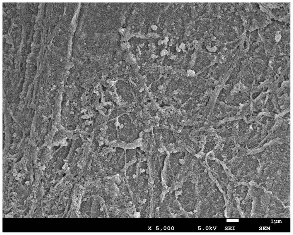 Hybrid doped polypyrrole paper-based flexible electrode material and preparation method thereof