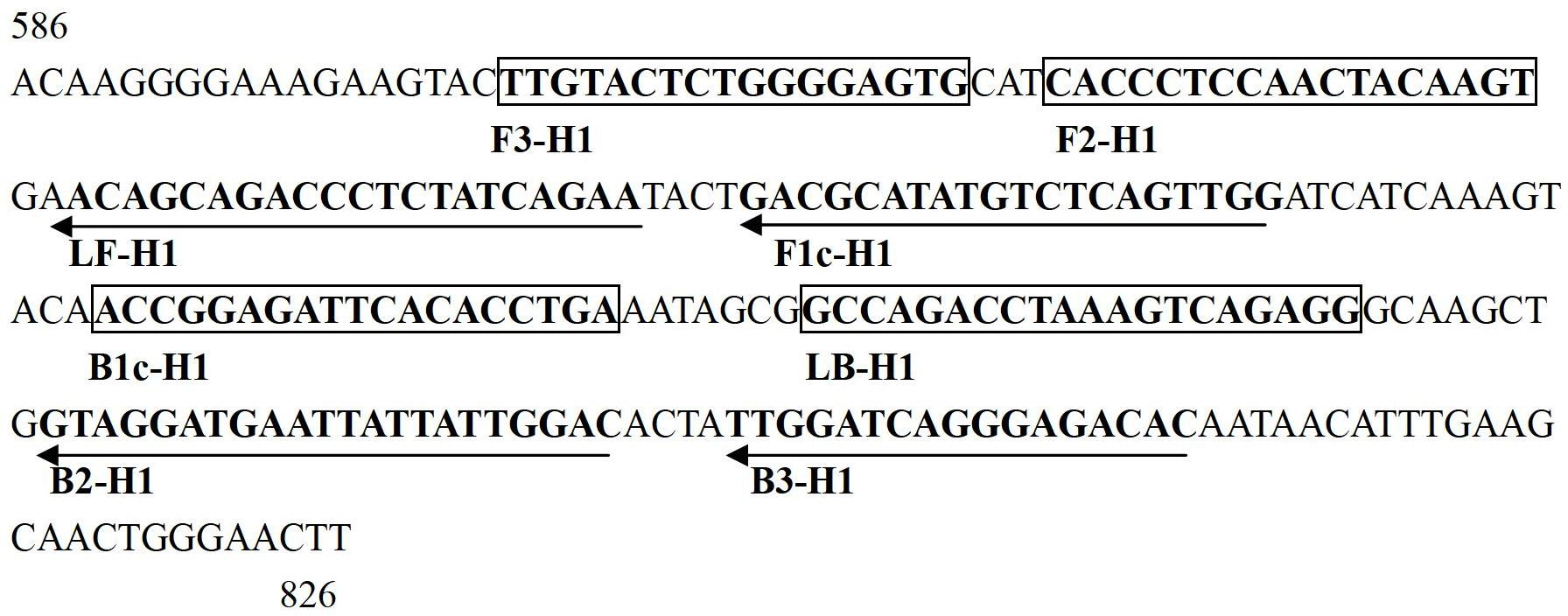 Reverse transcription-loop-mediated isothermal amplification (RT-LAMP) visual detection kit for H1N2 avian influenza viruses