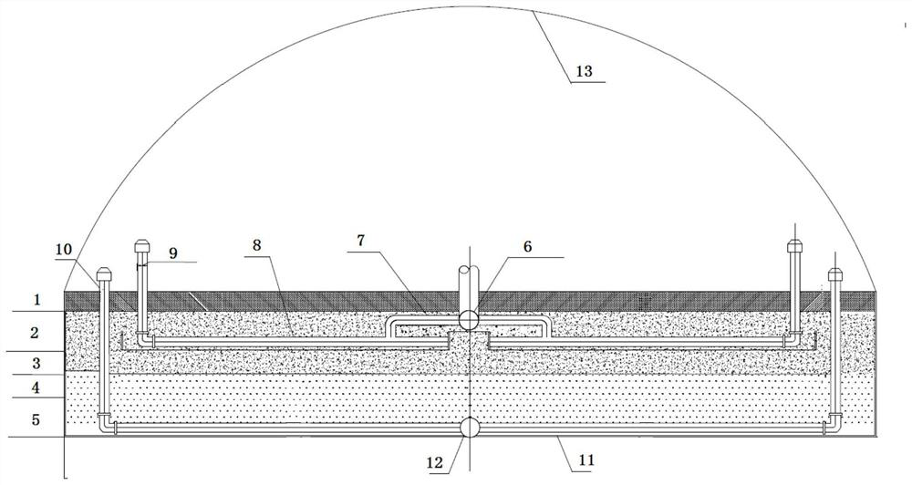 An efficient and stable domestic sewage ecological treatment device and operation method