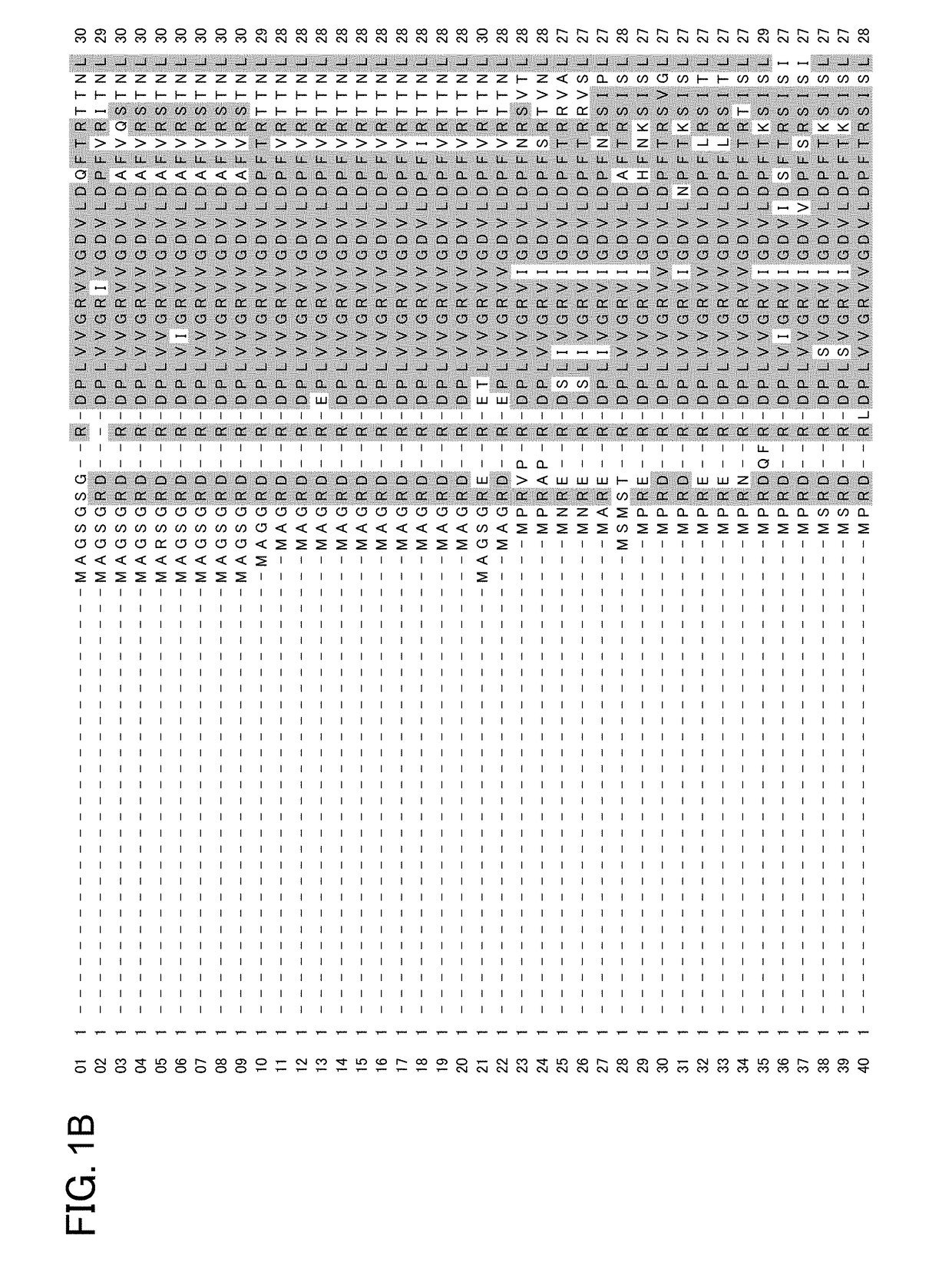 Polypeptide for Genome Shuffling in Plants, and Use Therefor