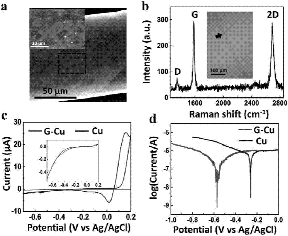 Graphene cladded copper-base biological material as well as preparation method and application thereof