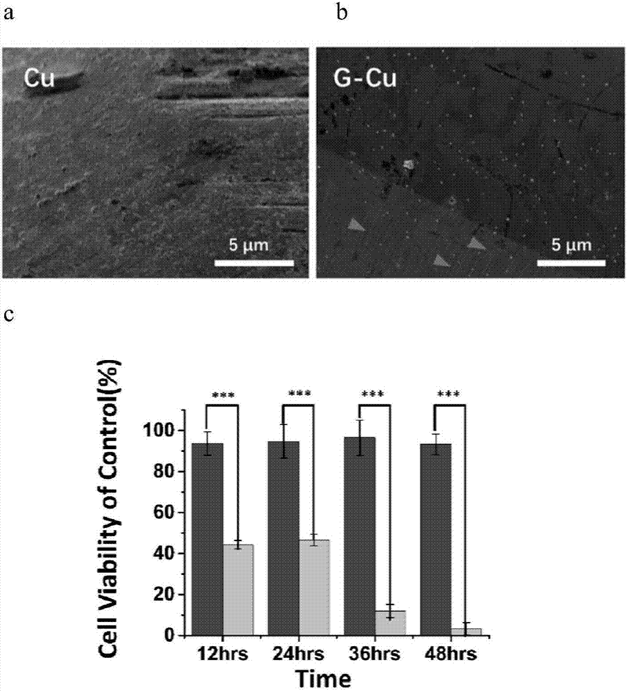 Graphene cladded copper-base biological material as well as preparation method and application thereof