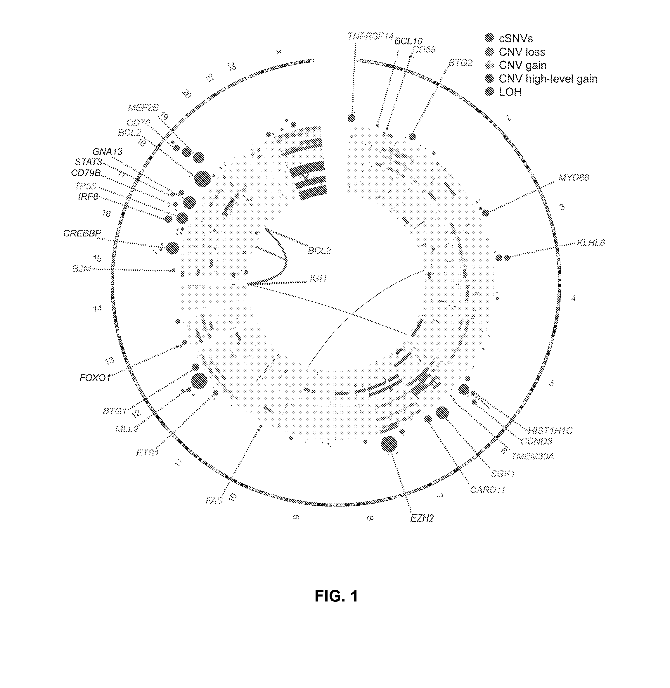 Biomarkers for Non-Hodgkin Lymphomas and Uses Thereof