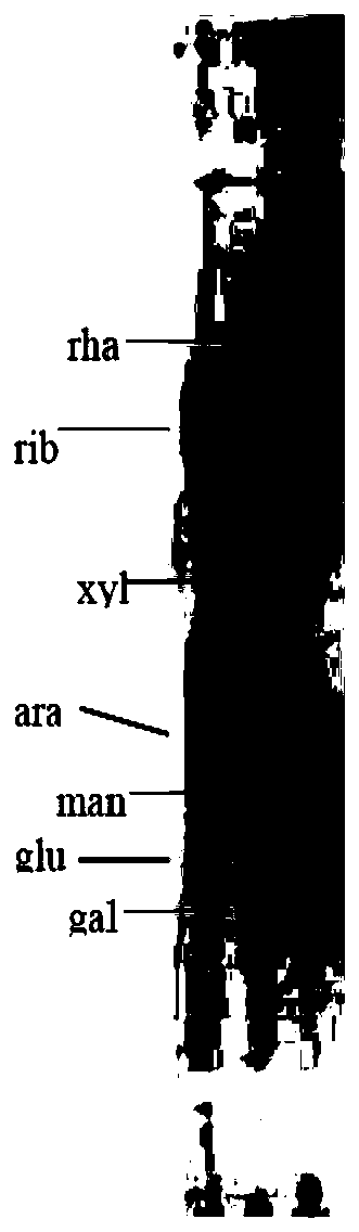 Streptomyces TJ138, product, preparation method and application thereof, method for reducing cadmium content in crops and application of melatonin