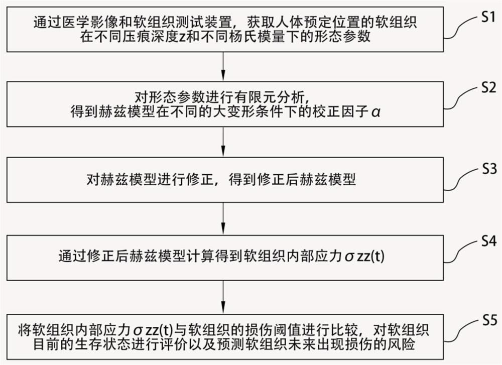 Non-invasive human body soft tissue injury risk monitoring system