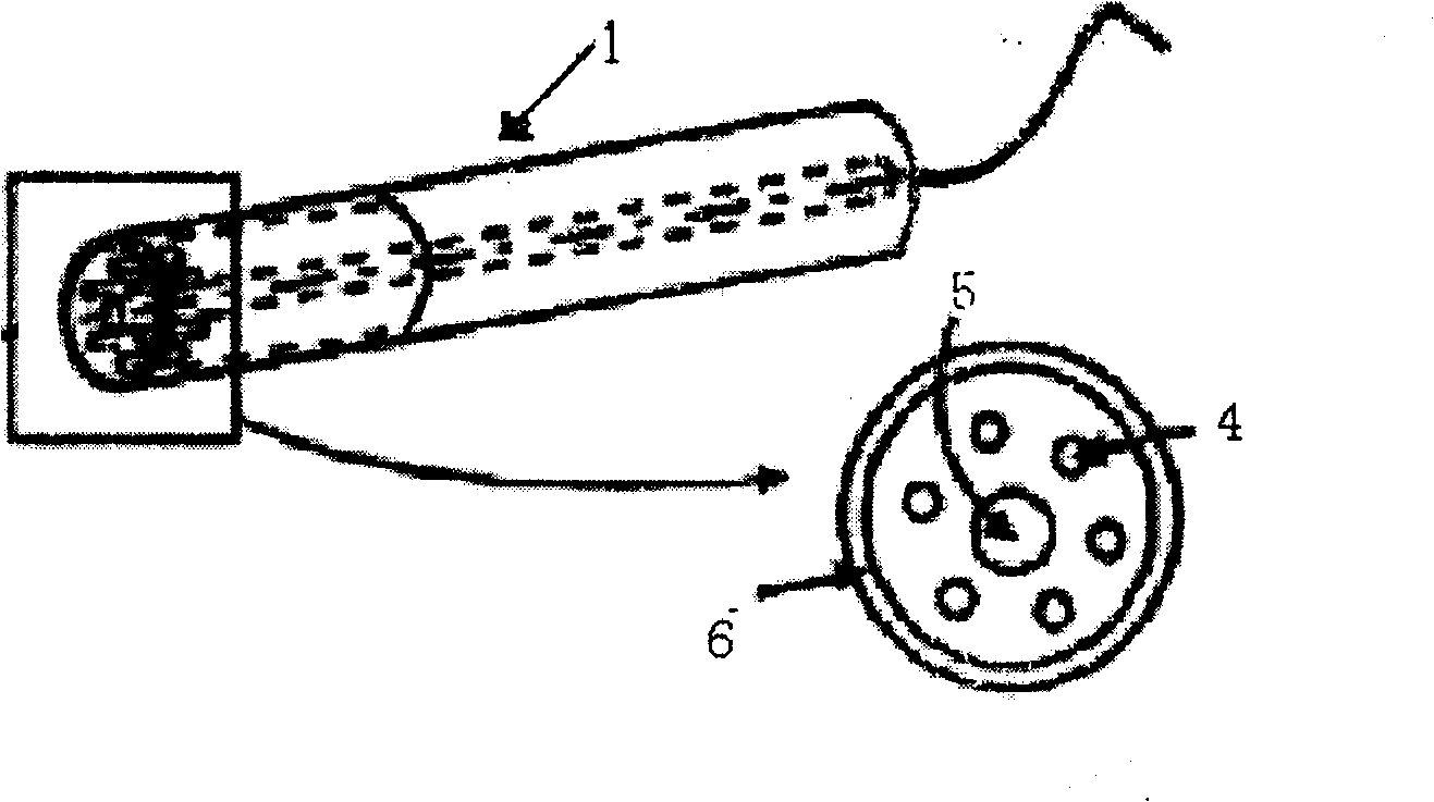 Intelligent chemical analysis system for liquid sample