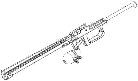 Fish shooting gun