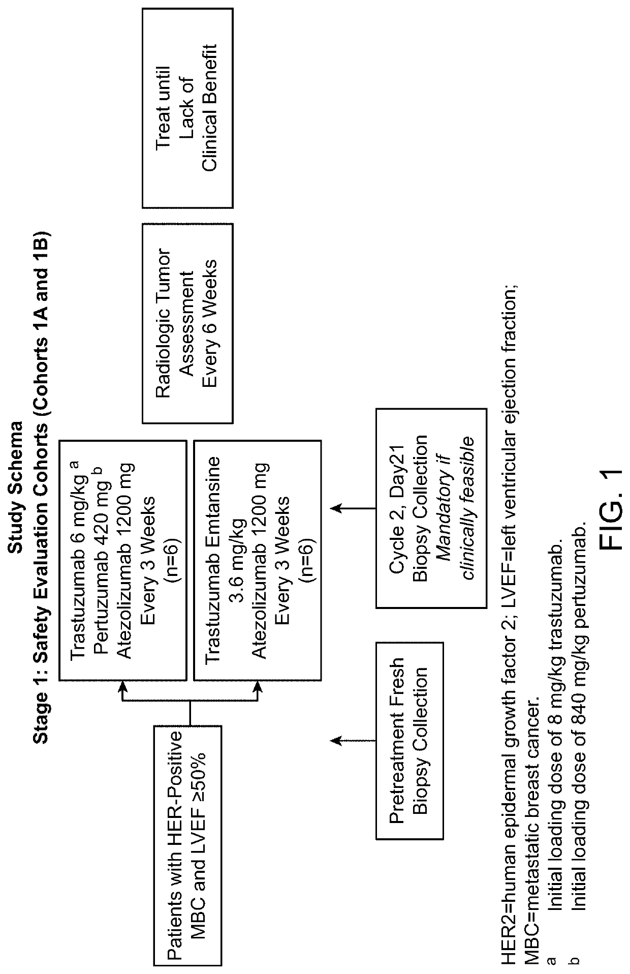 Methods of treating her2-positive cancer