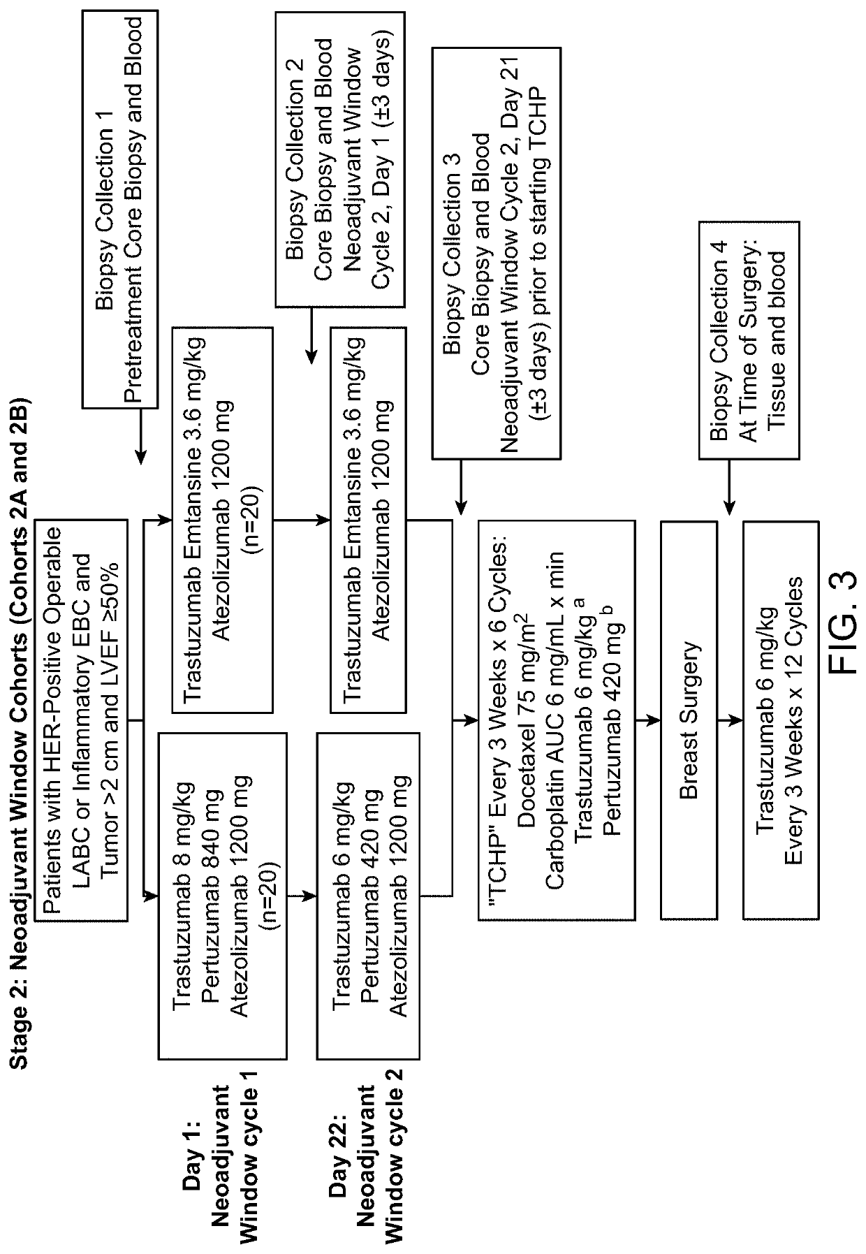 Methods of treating her2-positive cancer