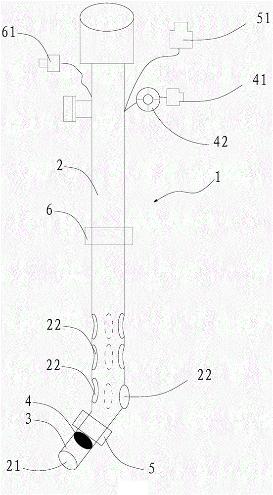 Lung isolation catheter