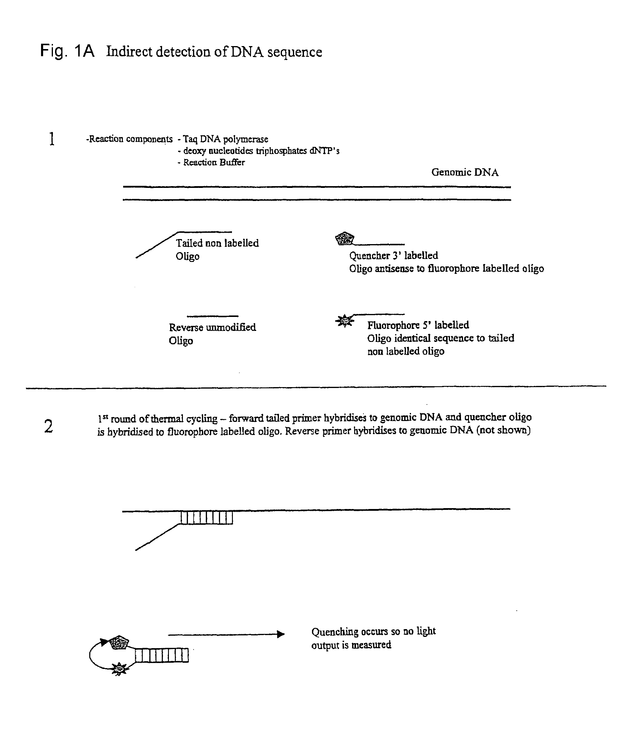 Detection system for PCR assay