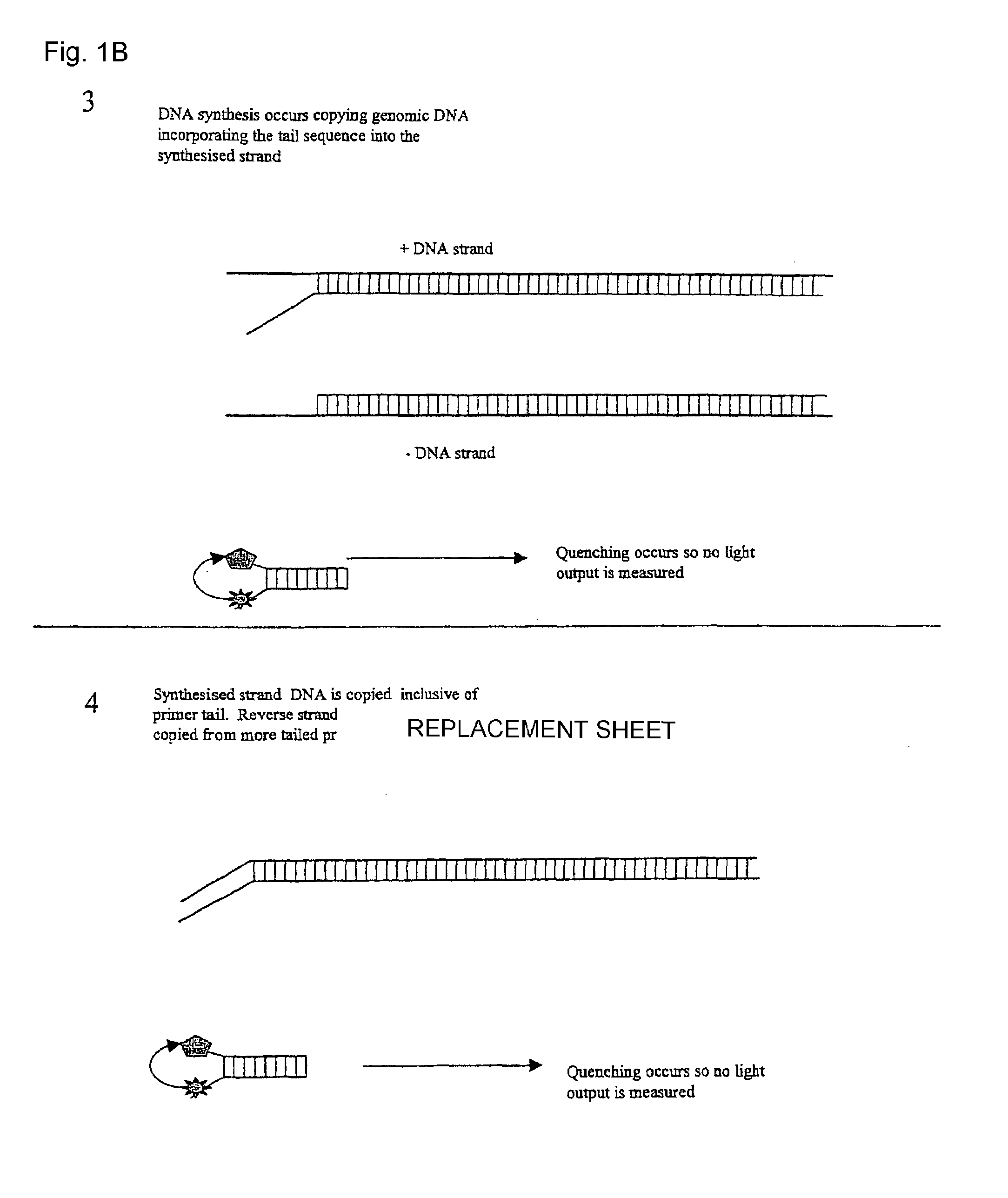 Detection system for PCR assay