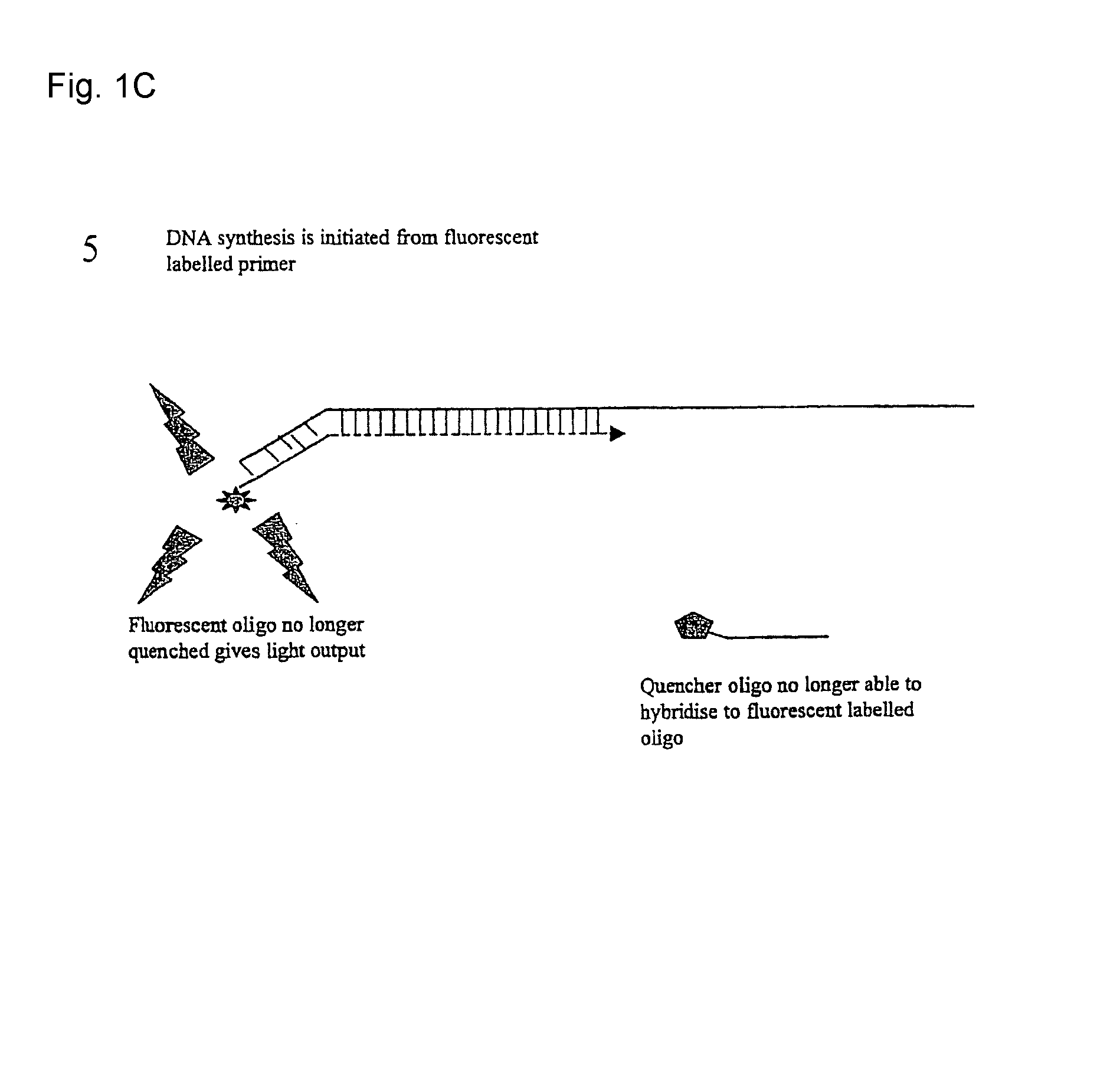 Detection system for PCR assay