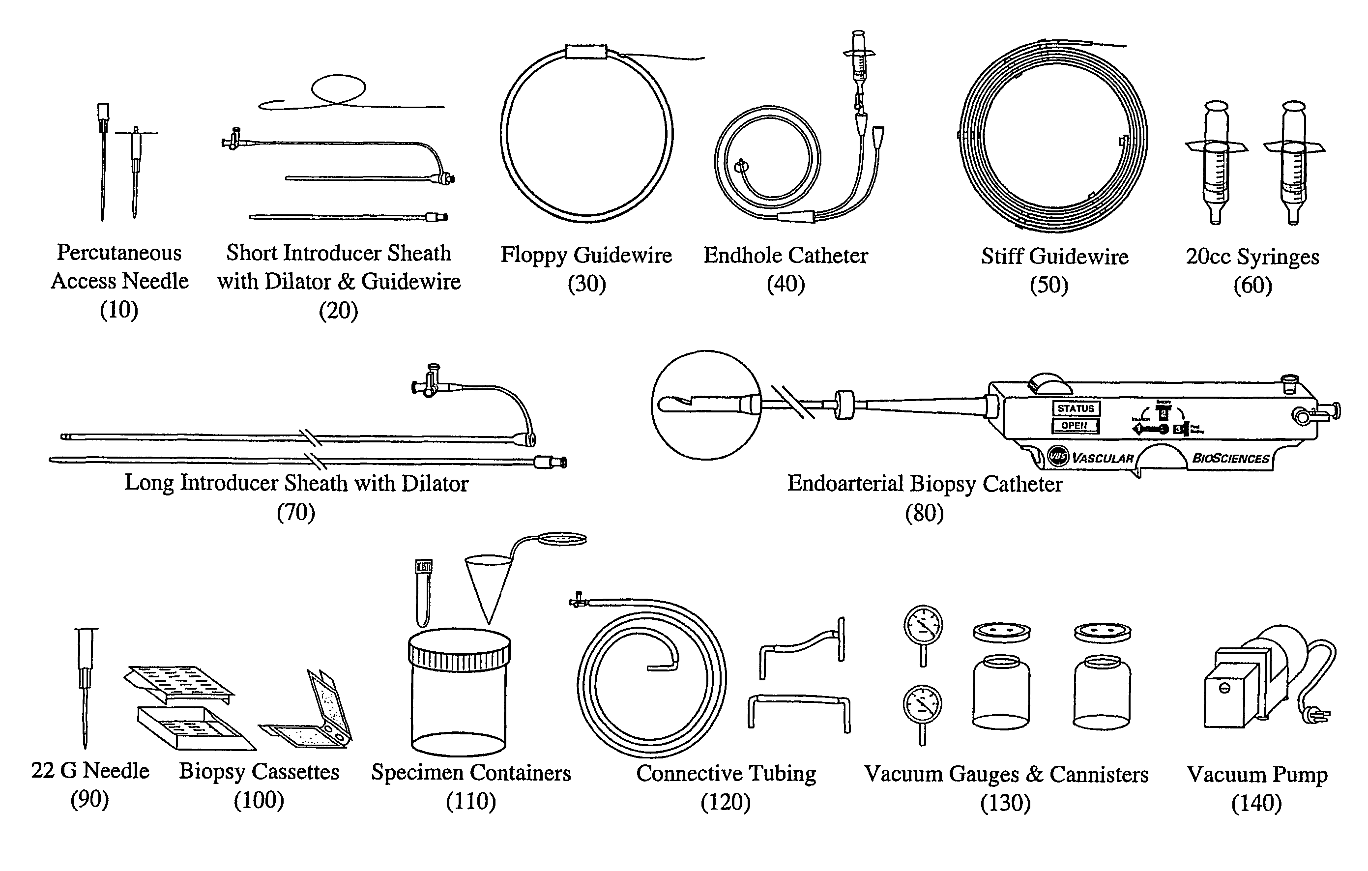 Kit for obtaining an endoarterial biopsy sample