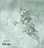 Method for preparing nanocellulose by using homogeneous method