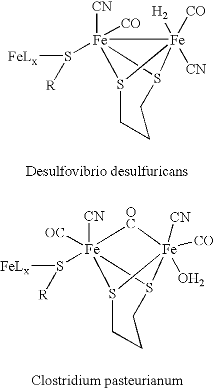 Method for treating a mammal by administration of a compound having the ability to release CO, compounds having the ability to release CO and pharmaceutical compositions thereof