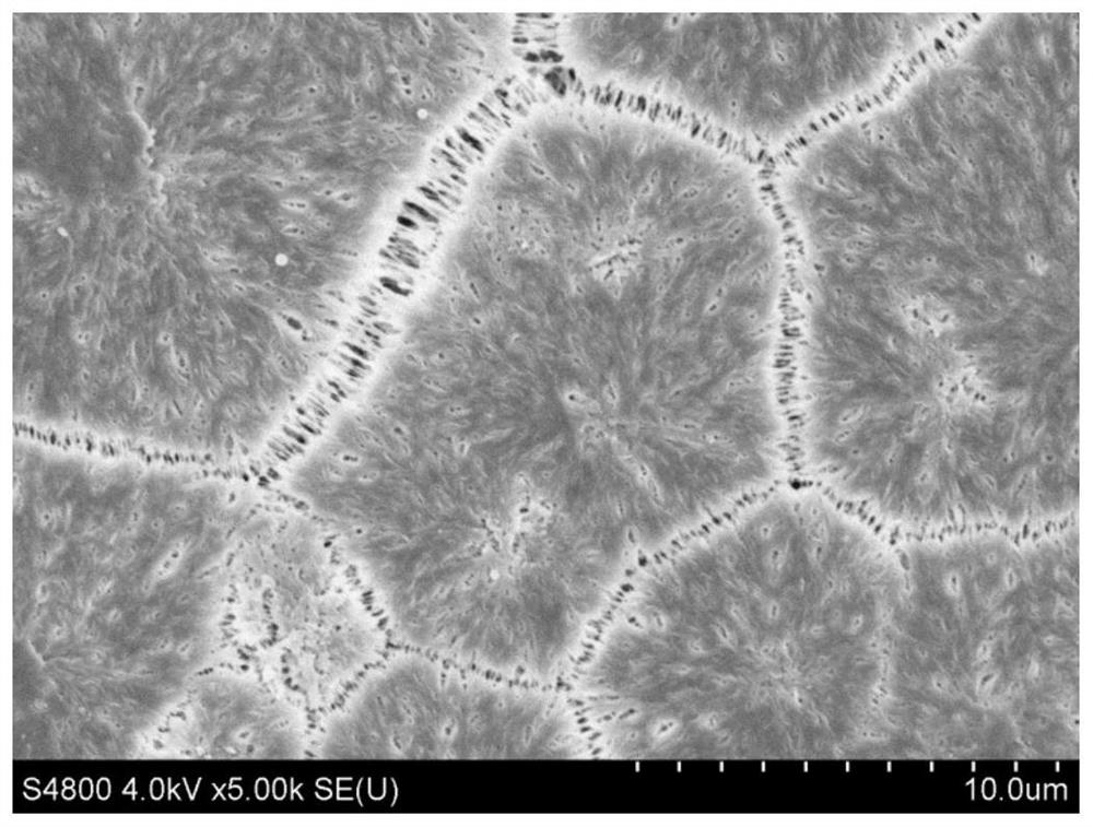 A kind of mixture applied to reactive coagulation bath and its application