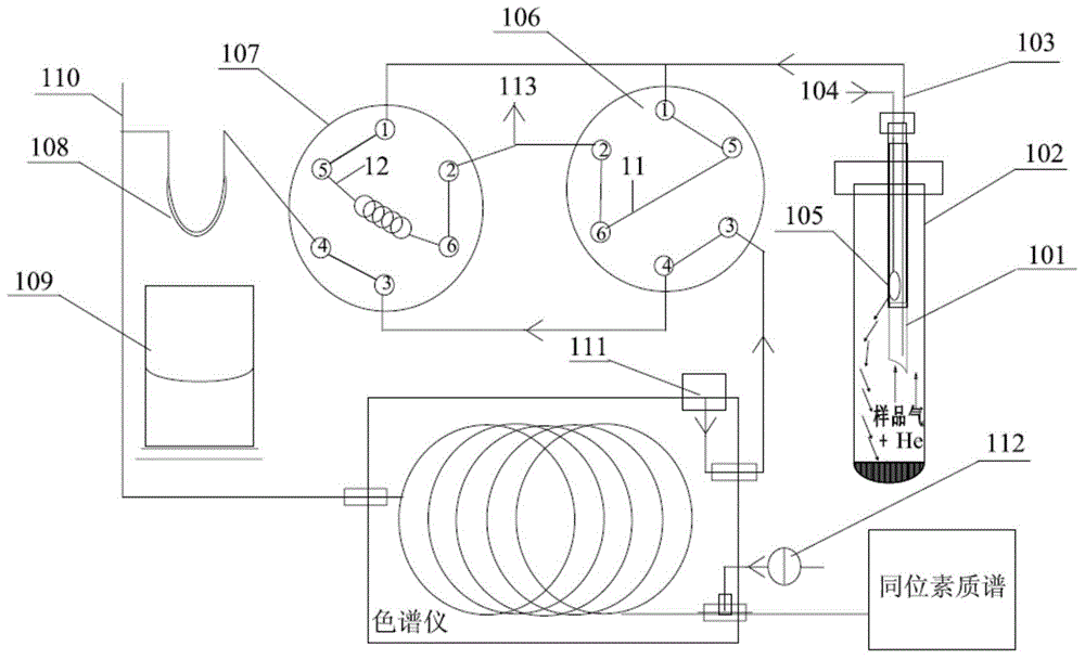 Gas sample introduction device and application thereof