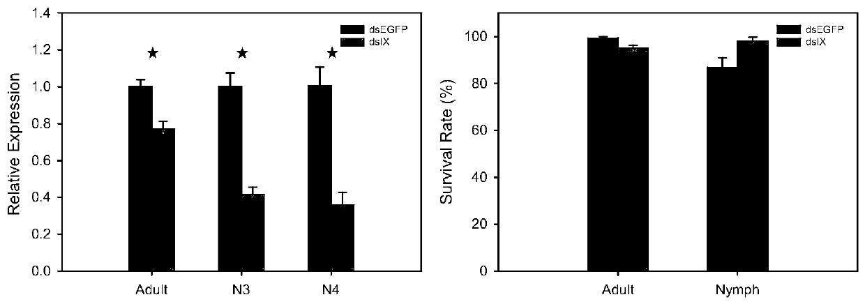 Establishment of novel RNA interference method for bemisia tabaci nymphs