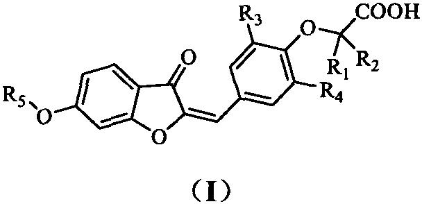 PPAR (Peroxisome Proliferator-Activated Receptor) gamma/delta dual agonist as well as preparation method and application thereof to medicine