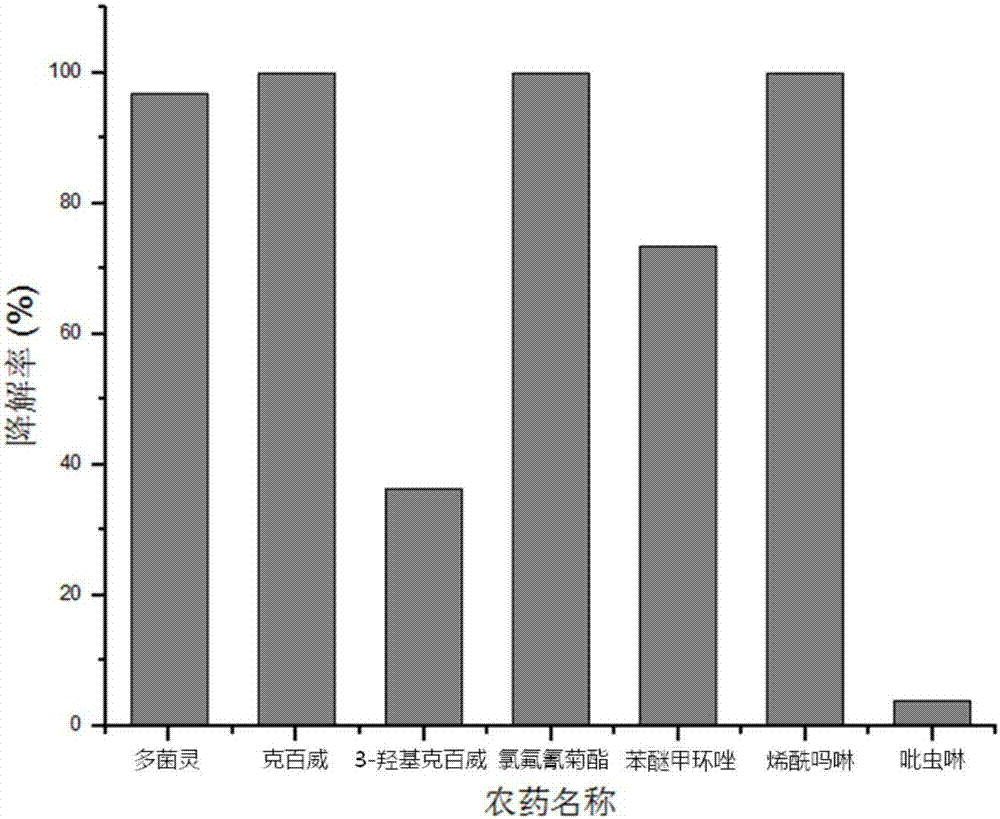 Providencia vermicola strain, enzyme preparation and application of enzyme preparation in degradation of pesticide residues