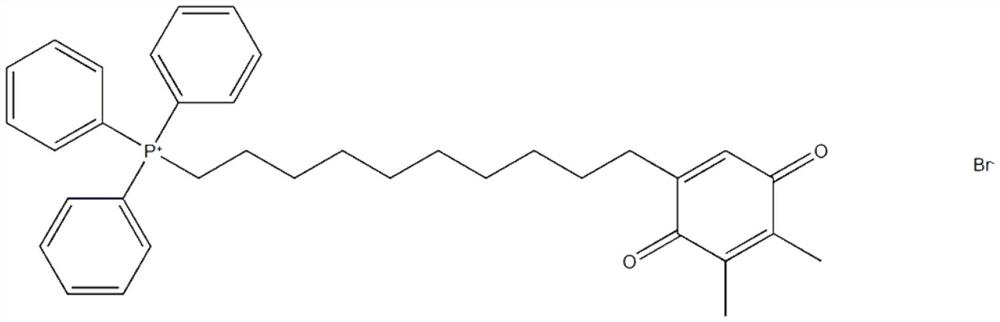 Application of derivative SKQ1 of plastoquinone in preparation of anti-mycobacterium tuberculosis drugs