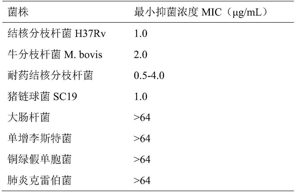 Application of derivative SKQ1 of plastoquinone in preparation of anti-mycobacterium tuberculosis drugs