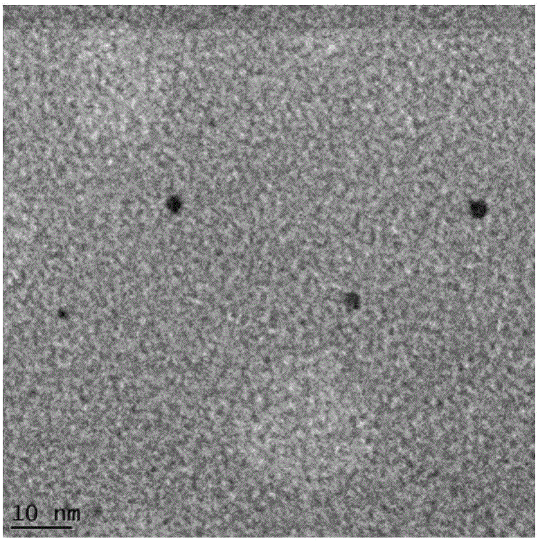 Method for preparing nanogold with size smaller than 5 nm through banana pulp extract