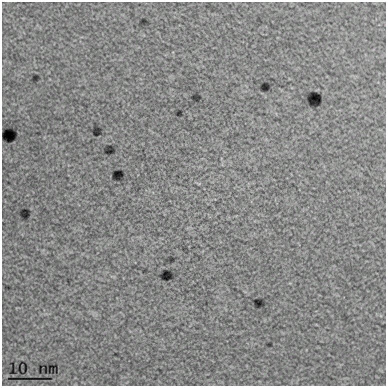 Method for preparing nanogold with size smaller than 5 nm through banana pulp extract