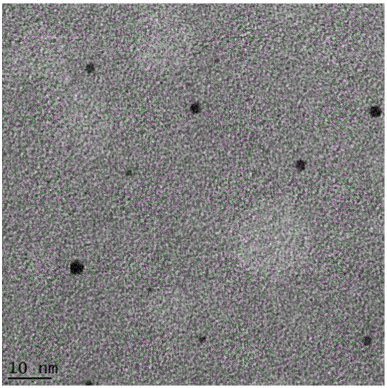 Method for preparing nanogold with size smaller than 5 nm through banana pulp extract