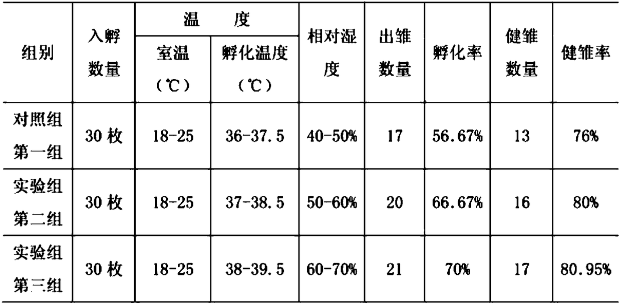 Artificial breeding method of blue horse chicken in high altitude environment