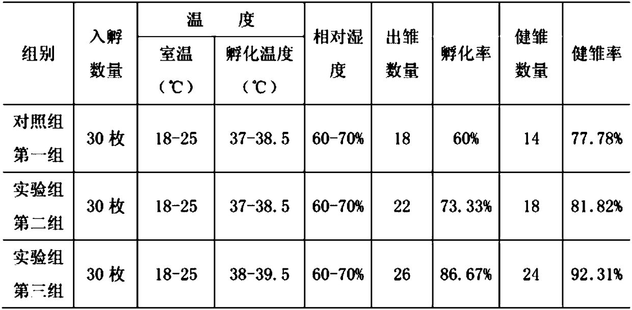 Artificial breeding method of blue horse chicken in high altitude environment