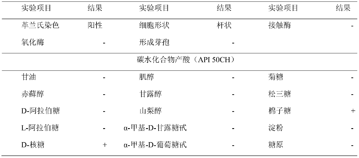 Lactobacillus fermenti and preparation method of lactobacillus fermenti freeze-dried powder