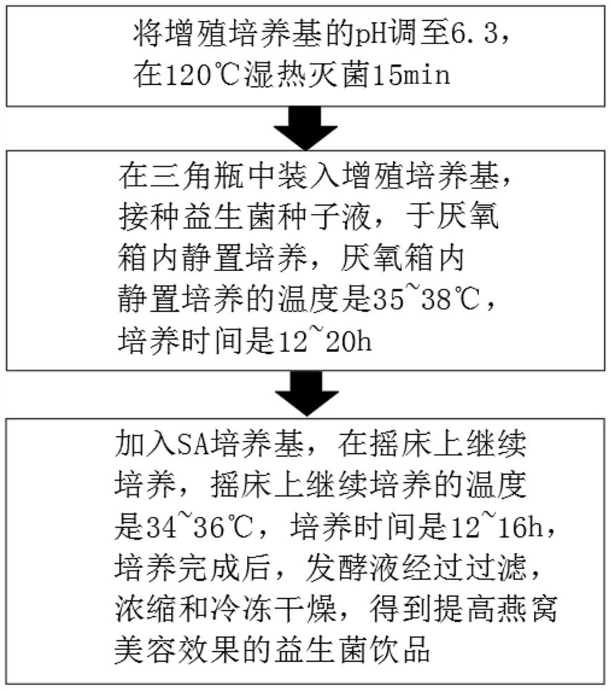 Probiotic beverage for improving beauty effect of cubilose and preparation method