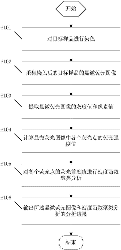 Non-wash image flow fluorescence detection method and system thereof