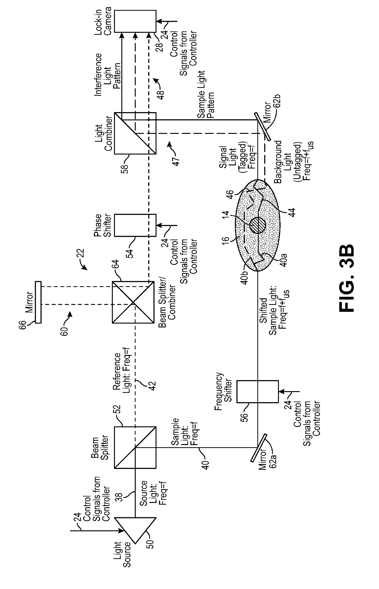 Optical detection system for determining neural activity in brain based on water concentration