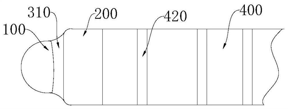 Pulse ablation electrode assembly and pulse ablation catheter