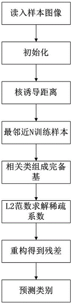 Cooperative sparse representation self-adaptive rapid face recognition method