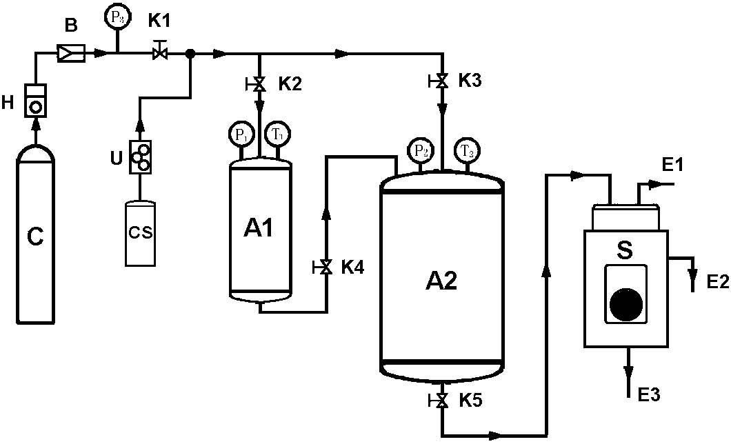 Multifunctional-supercritical particle preparation system