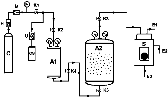 Multifunctional-supercritical particle preparation system