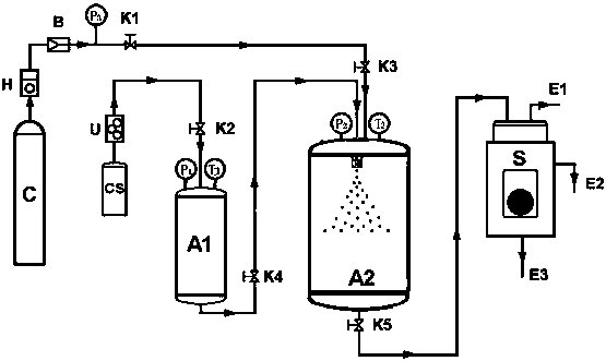 Multifunctional-supercritical particle preparation system