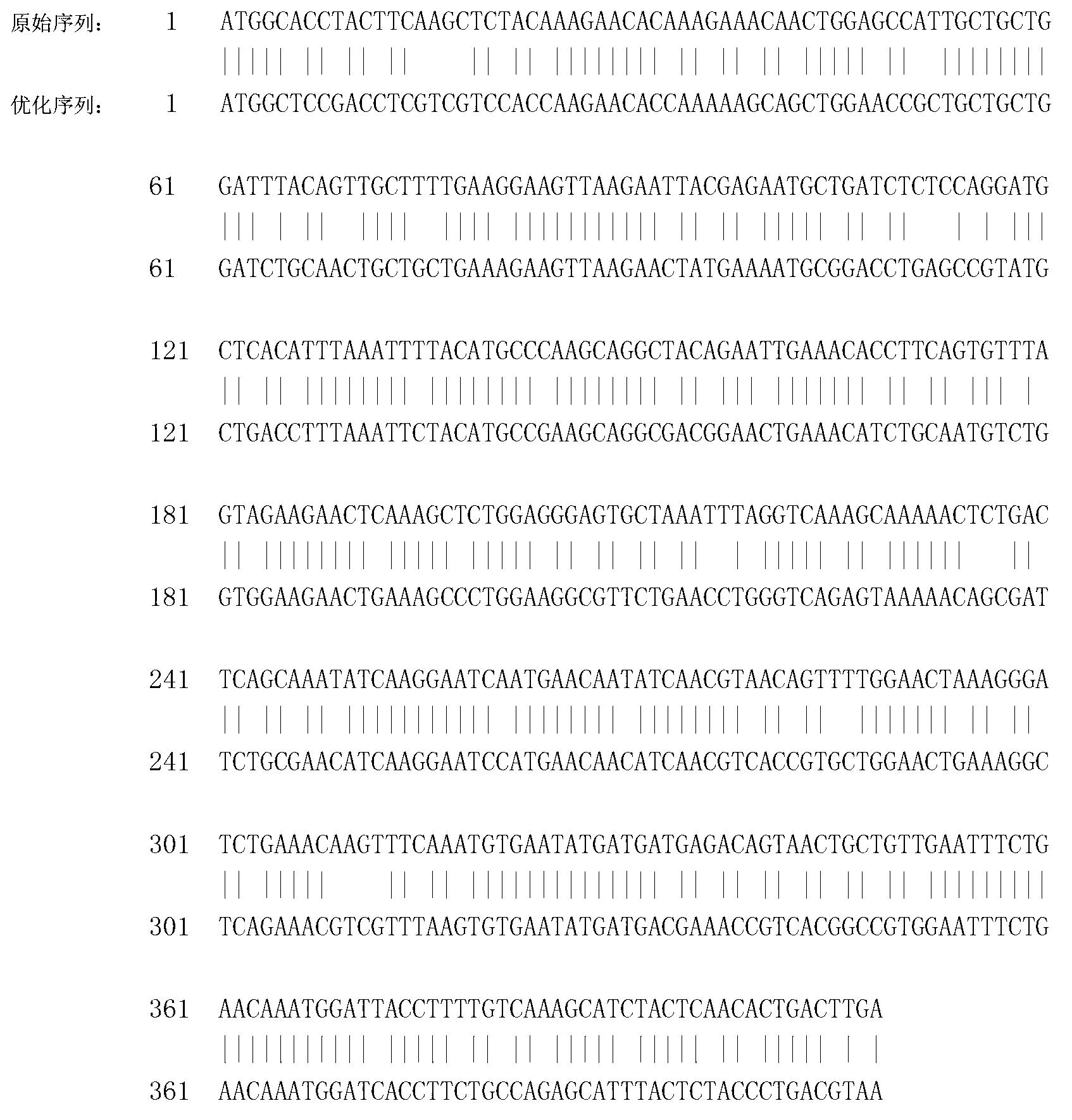 Recombinant porcine interleukin 2, and encoding gene and expression method thereof