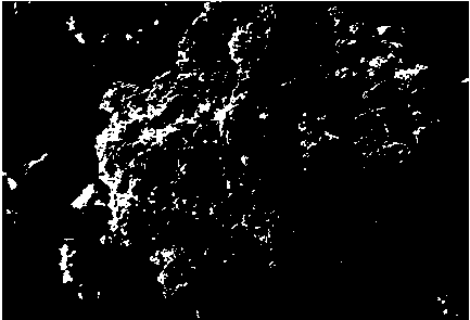 A method for surface precipitation and crystallization type coating modification of fly ash used as papermaking filler