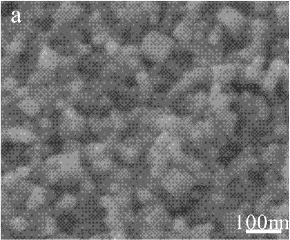 NiFe3N/NF electrochemical catalyst and preparation method and application thereof