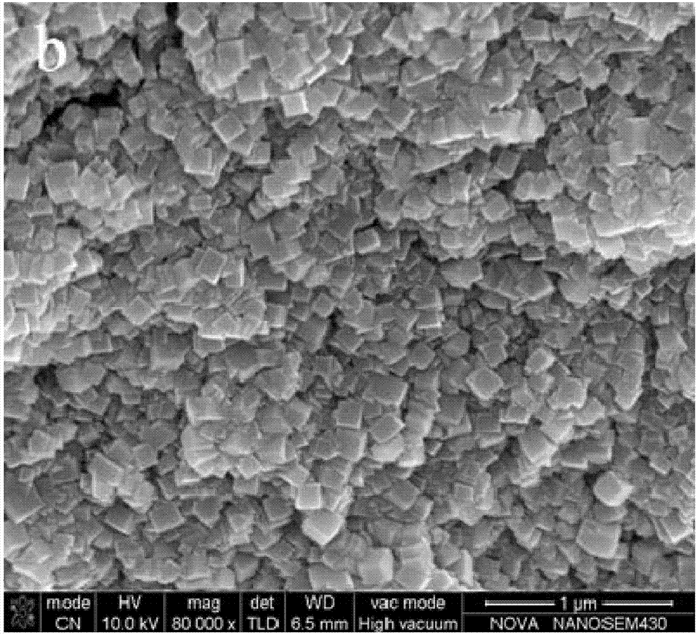 NiFe3N/NF electrochemical catalyst and preparation method and application thereof